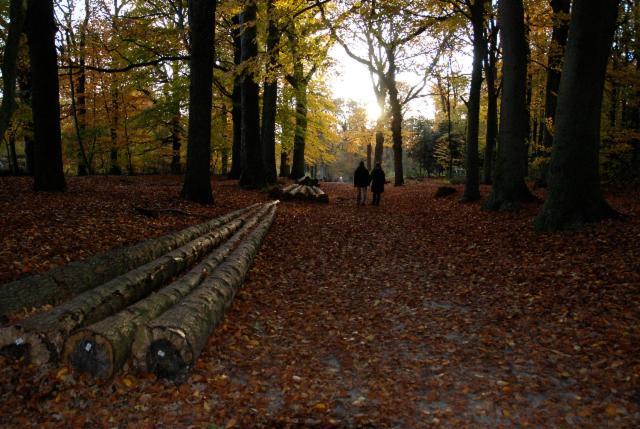 De Patrijs Villa Oudemirdum Bagian luar foto