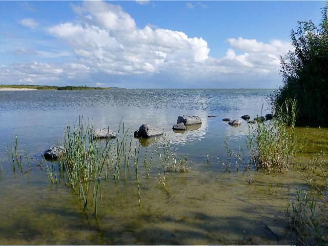 De Patrijs Villa Oudemirdum Bagian luar foto