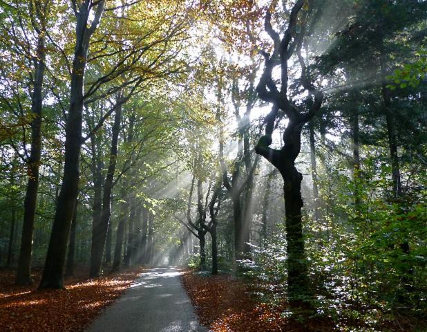 De Patrijs Villa Oudemirdum Bagian luar foto