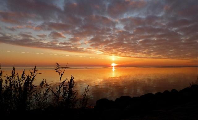 De Patrijs Villa Oudemirdum Bagian luar foto